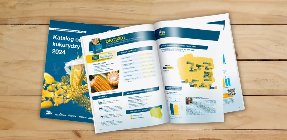 Najnowszy katalog odmian kukurydzy DEKALB.
